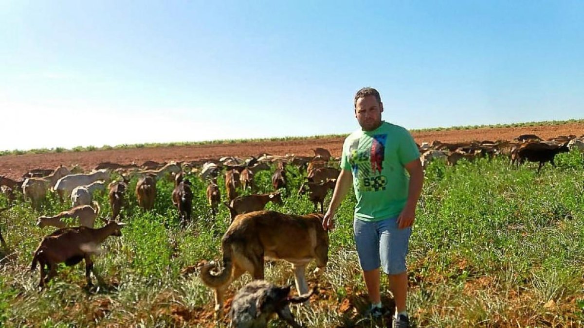 Emilio Llamas con sus cabras en Friera de Valverde (Zamora)-E.M.