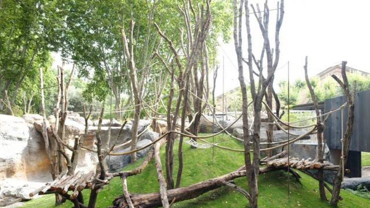Las nuevas instalaciones ocupan un espacio de 1.100 metros cuadrados.-Foto: ZOO DE BARCELONA