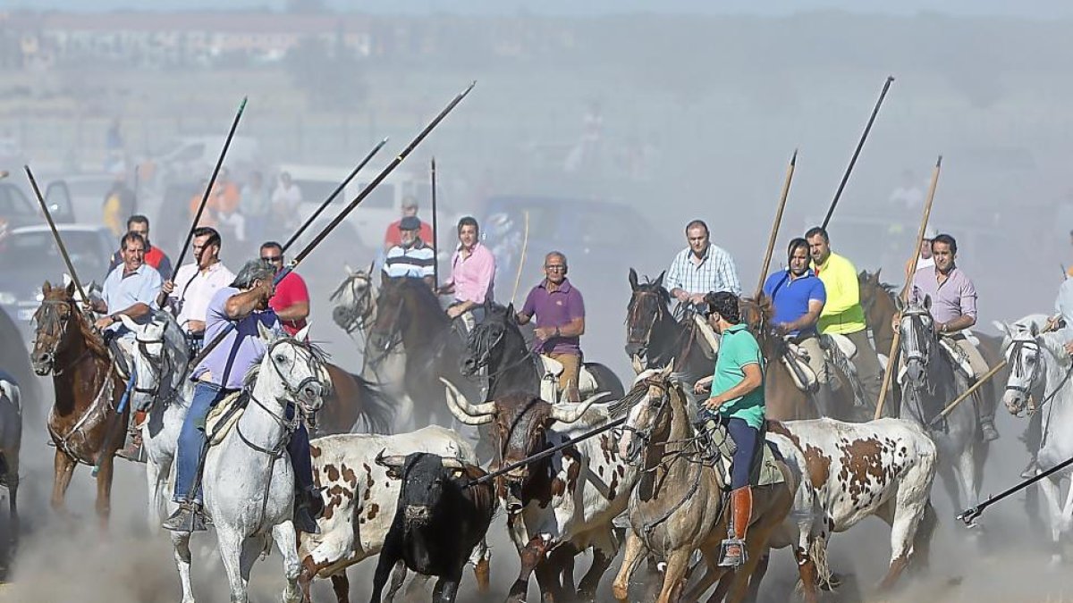 Varios caballistas acompañando al toro en la parte del encierro que tuvo lugar en el campo.-J.M. LOSTAU