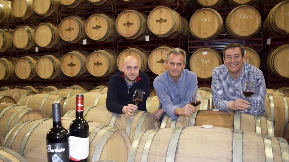 De izda. a dcha.: Martín Padín, Santos Calvo y Alfonso Garcés, en la nave de barricas de la bodega y dos de sus vinos más representativos.-ARGICOMUNICACIÓN