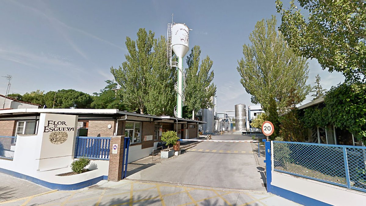 Factoría de Flor de Esgueva en Peñafiel. GGL SW