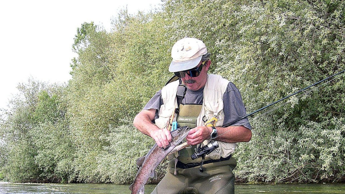 Un pescador libera un pequeño hucho en el coto salmantino de Villagonzalo II. -  L. FUENTE