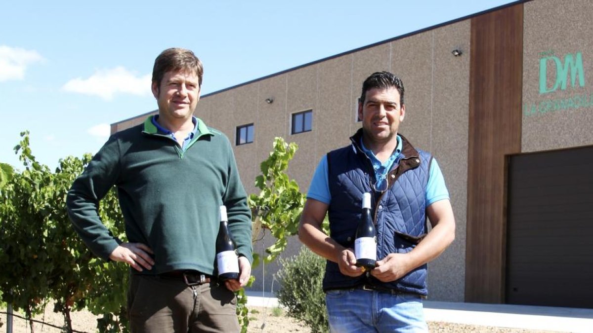 Los hermanos Roberto y Luis Descalzo Matos posan con su vino ante la bodega.-M.T.