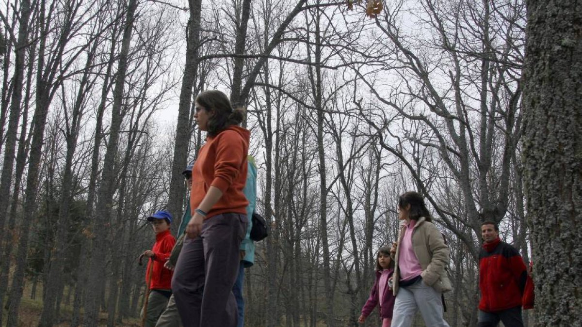 El Ceneam de Valsaín pone en marcha rutas guiadas por los Montes de Guadarrama con una nueva iniciativa que incluye actuaciones musicales en directo-Ical
