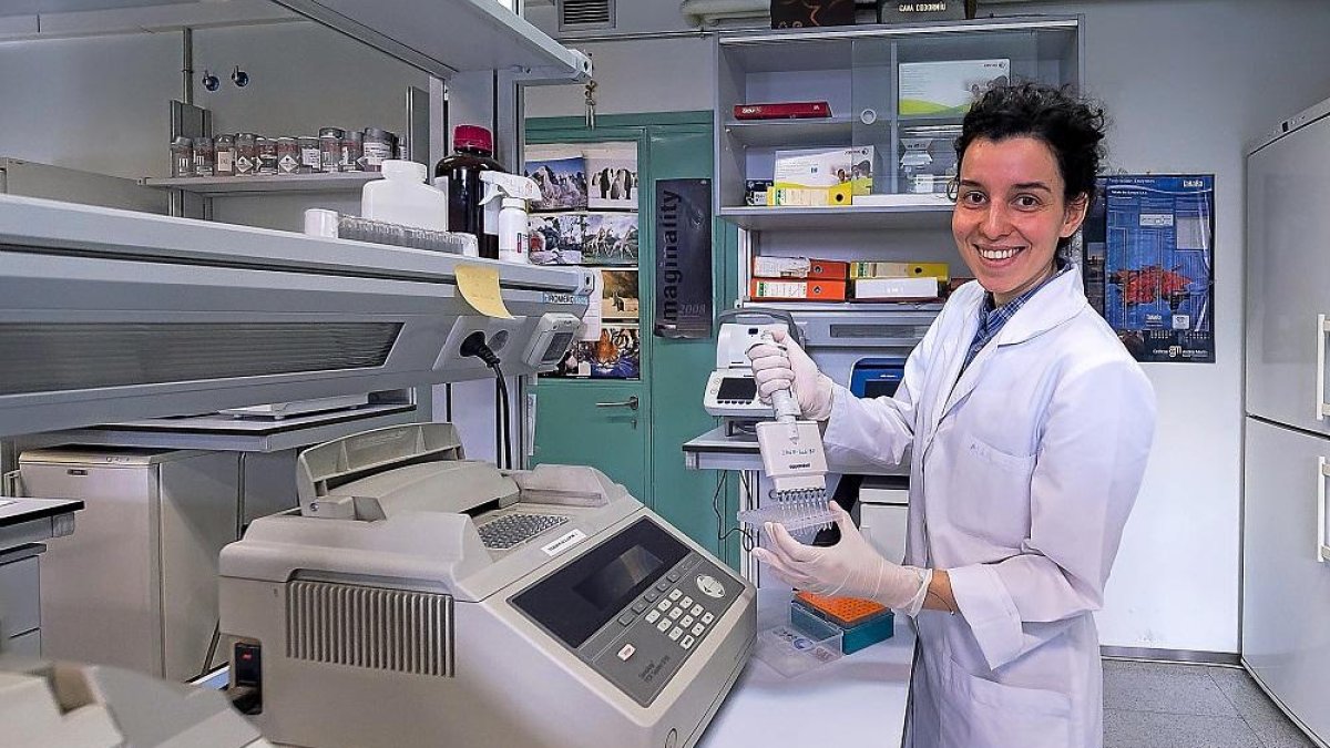 La investigadora Carolina Velázquez en el laboratorio de Genética Molecular del Cáncer Hereditario.-PABLO REQUEJO