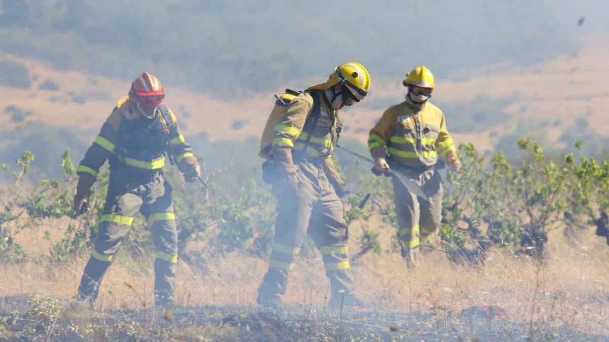 Los trabajadores forestales ayudan a extinguir un fuego.-ICAL