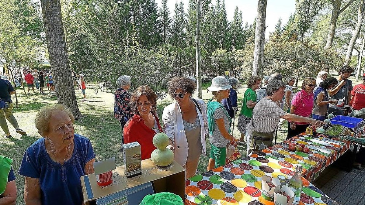 Los voluntarios participan en el Mercadillo Ecológico y Solidario de INEA con productos elaborados en sus huertos.-E.M.