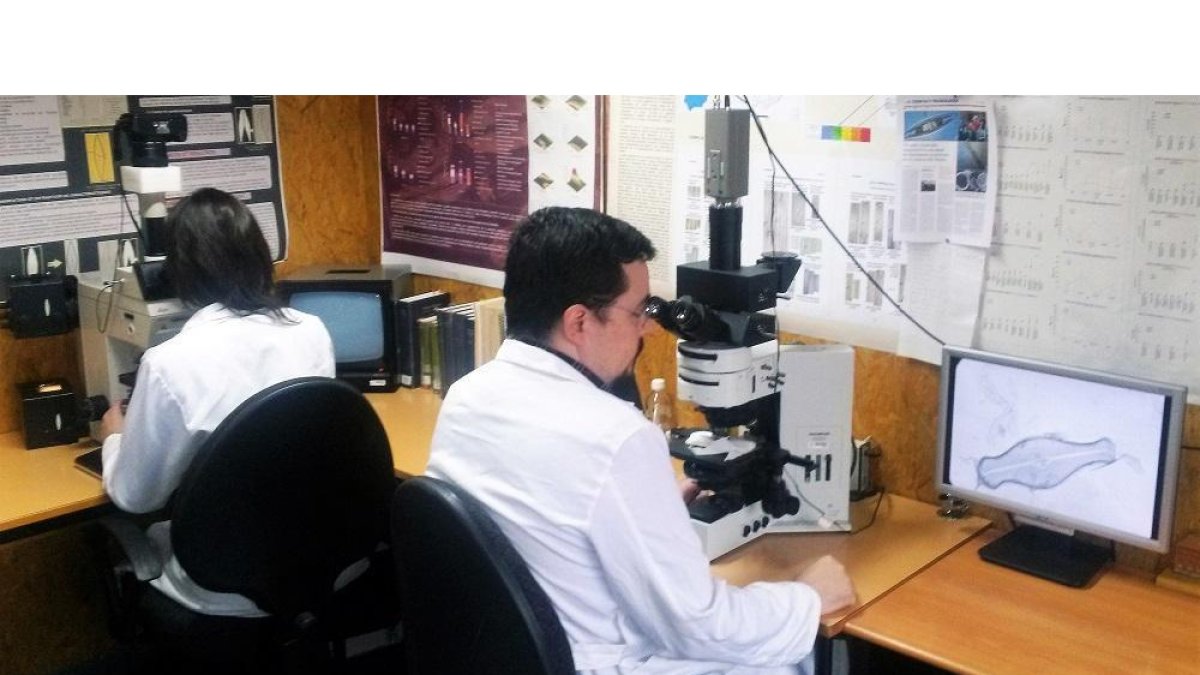 Los investigadores de la ULE, María Borrego Ramos y Saúl Blanco, descubridores de una nueva especie de alga en la Cueva de Valporquero-ICAL