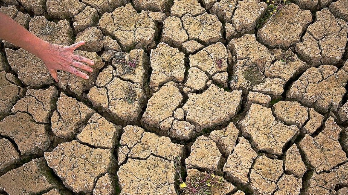 Efectos de la sequía en una tierra de cultivo.-ICAL