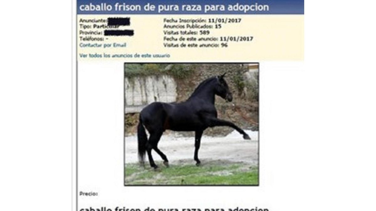 Anuncio en facebook de la adopción.-EUROPA PRESS