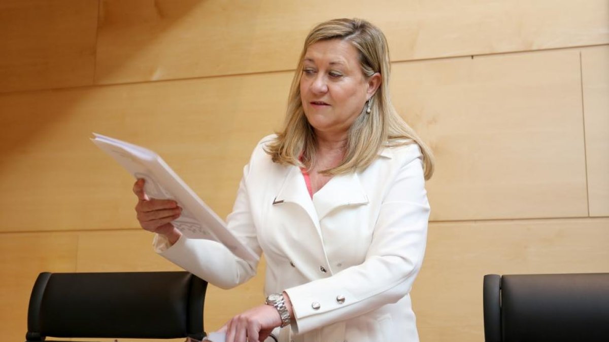 La consejera de Economía y Hacienda, Pilar del Olmo, comparece ante la Comisión de Economía y Hacienda de las Cortes de Castilla y León para explicar el Proyecto de Ley de Presupuestos de la Comunidad para 2017-ICAL