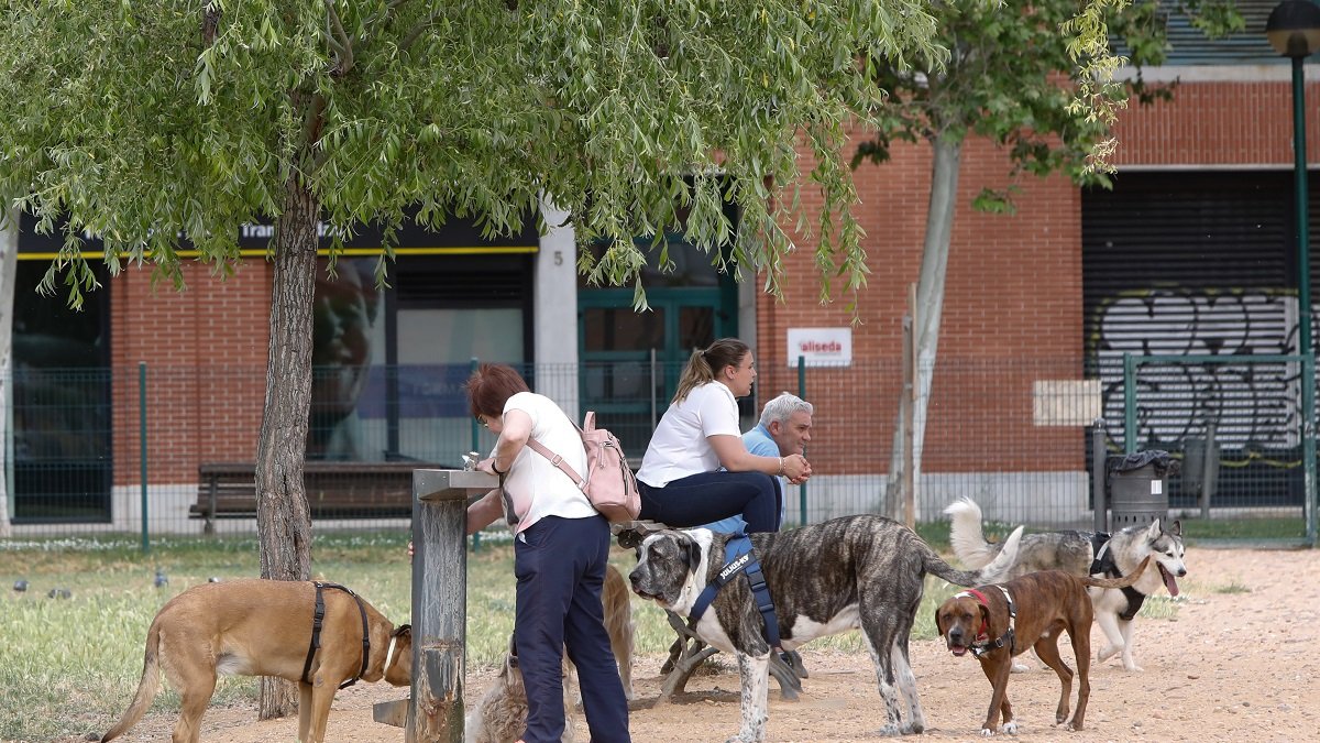 Perros y sus dueños en el parque canino de Parque Alameda de la ciudad de Valladolid.- J.M. LOSTAU