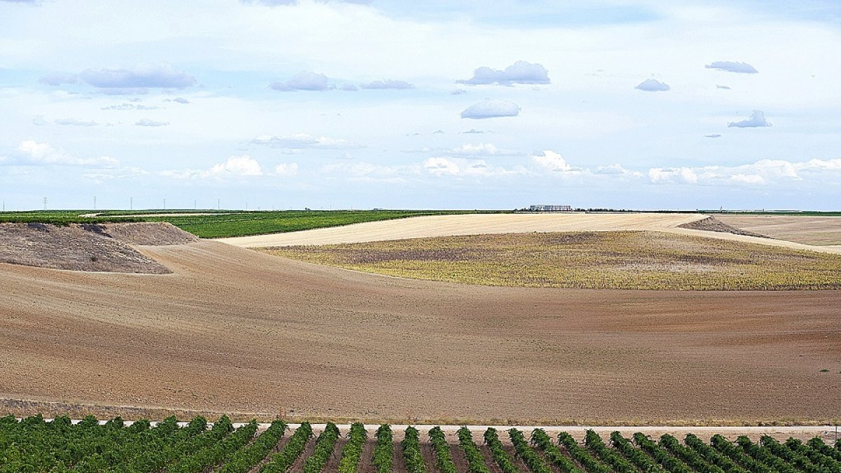 Imagen Quay (82230695)