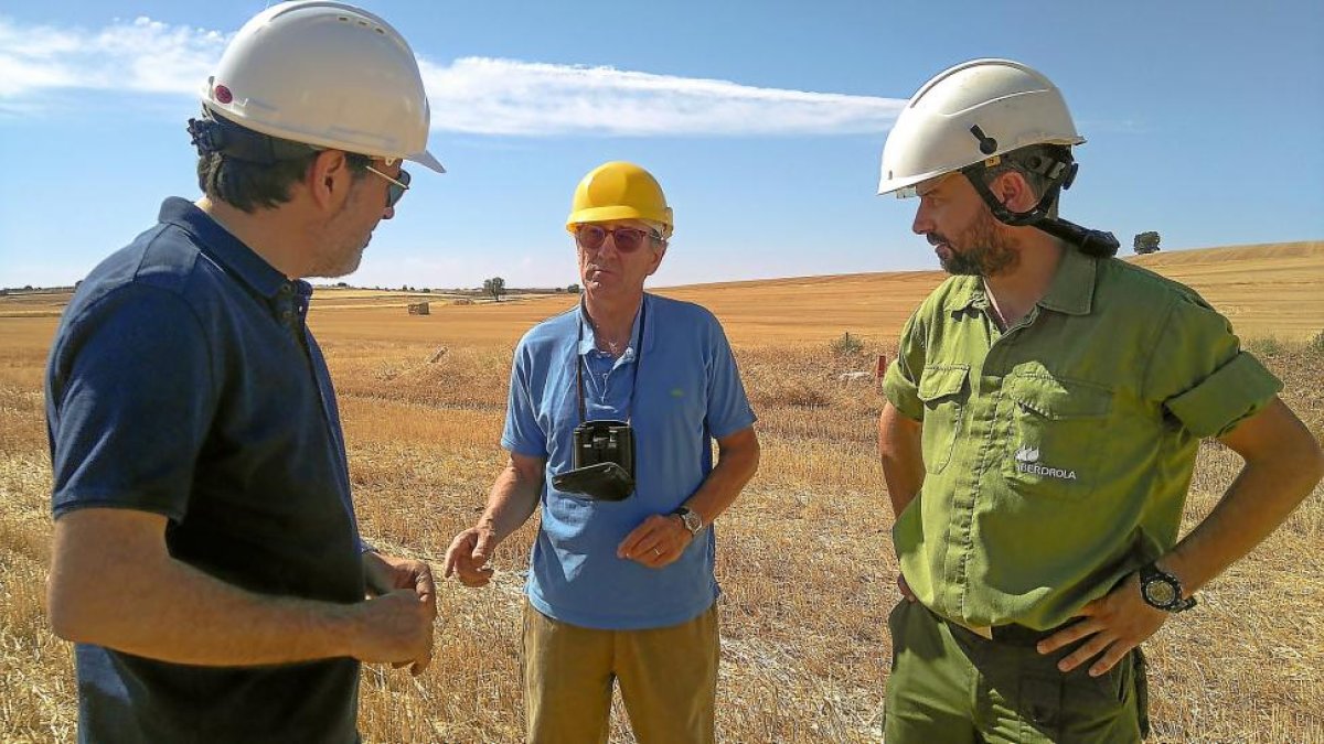 Juan Ignacio Gómez, Salvador Peris y Ángel Ruíz haciendo trabajo de campo.-MARÍA SUÁREZ / USAL