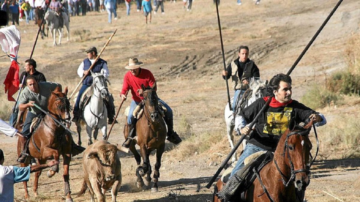Un grupo de caballistas dirigen a un toro durante el encierro campero-E. M.