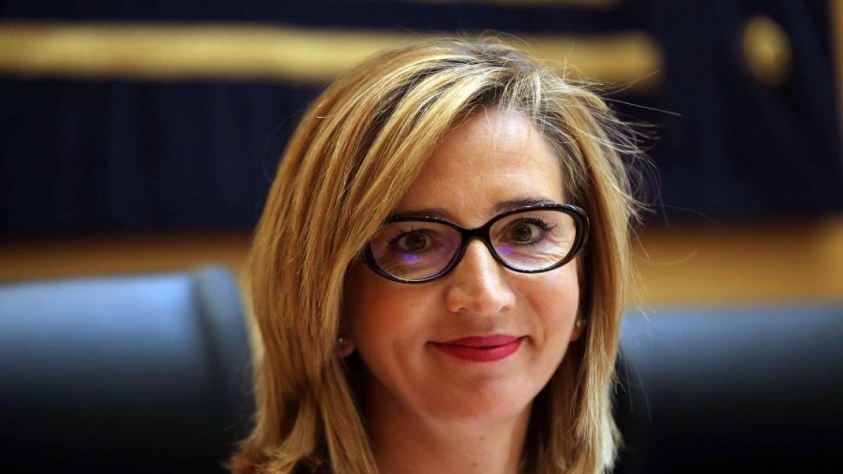 La consejera de Familia e Igualdad de Oportunidades, Alicia García, comparece ante la Comisión de Economía y Hacienda de las Cortes para explicar las cuentas de su departamento para 2016.-ICAL