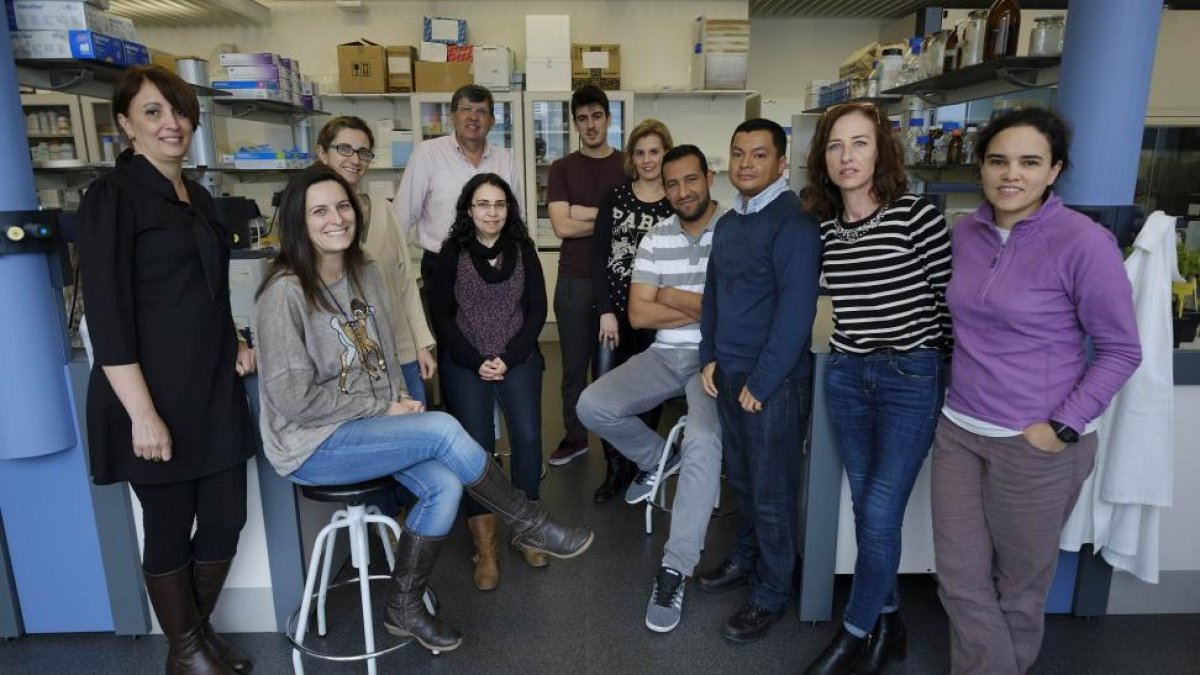 Equipo dirigido por Enrique Monte en las instalaciones del Instituto Hispano Luso de Investigaciones Agrarias (Ciale).-ENRIQUE CARRASCAL
