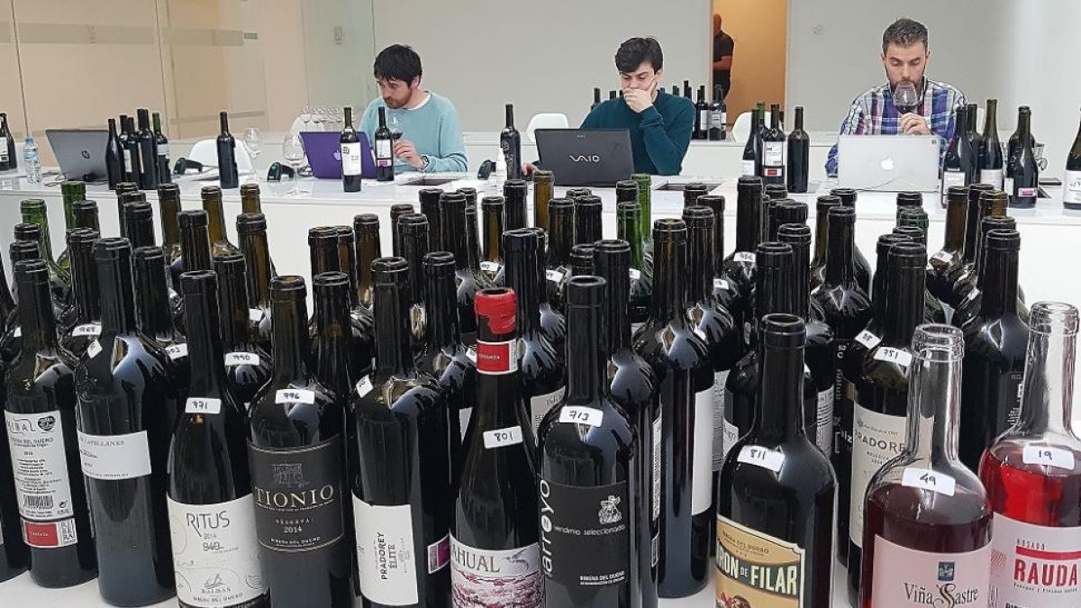 Los catadores han analizado más de 600 muestras de la DO Ribera del Duero.-L. V.