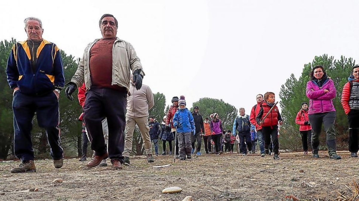Participantes en las jornadas micólogicas en el pinar del municipio vallisoletano de Boecillo.-PHOTOGENIC