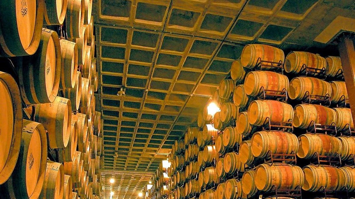 Sala de barricas donde se elabora el vino de crianza en una bodega de Castilla y León.-EL MUNDO