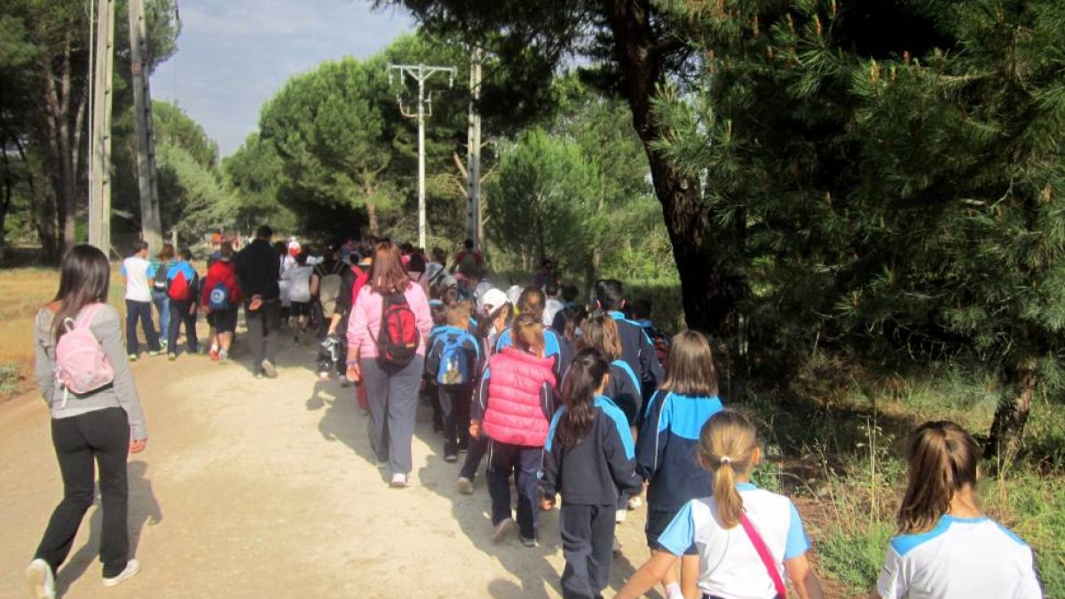 Unos 250 participantes entre escolares y familias del colegio La Milagrosa de Tudela de Duero (Valladolid) secundaron hoy la XI Marcha Solidaria.-ICAL