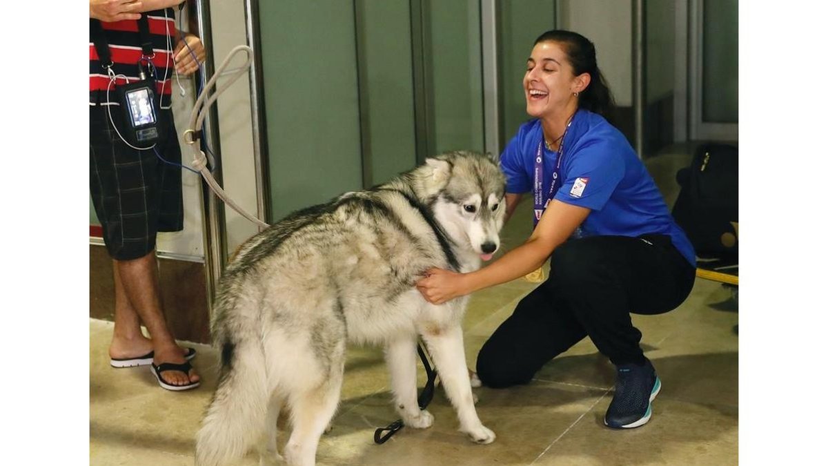 Carolina Marín acaricia a uno de sus dos perros, a la llegada a Barajas. /-J.P.GANDUL (EFE)