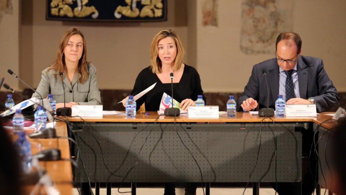 La consejera de Familia e Igualdad de Oportunidades, Alicia García, preside la constitución de la Sección de la Red de Planes sobre Drogas de Castilla y León-Ical