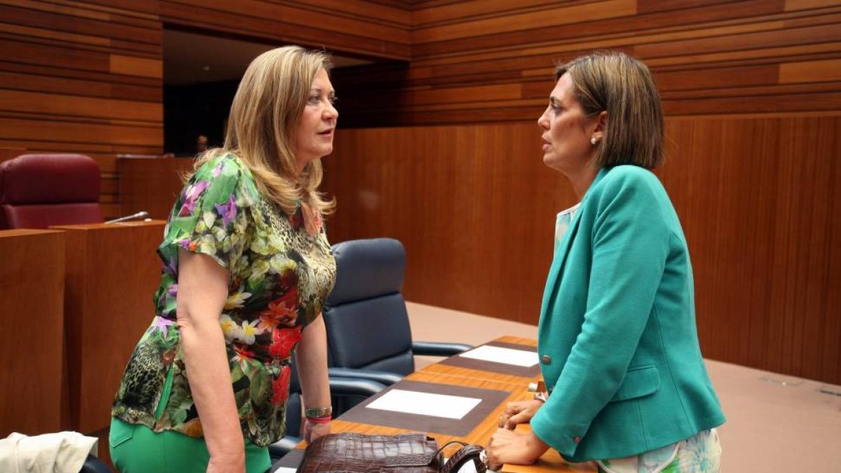 La consejera de Hacienda, Pilar del Olmo, y la consejera de Familia e Igualdad de Oportunidades, Milagros Marcos, durante el Pleno de las Cortes de Castilla y León-Ical