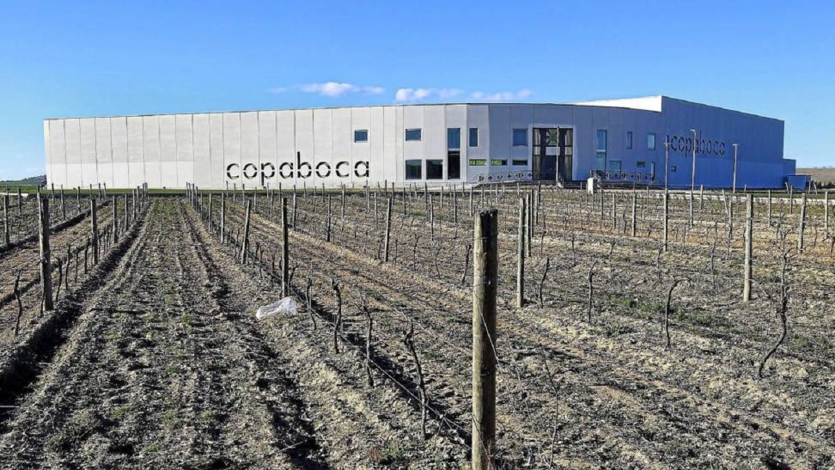 La bodega de Copaboca frente al Montico que abrirá en junio-J. M. LOSTAU