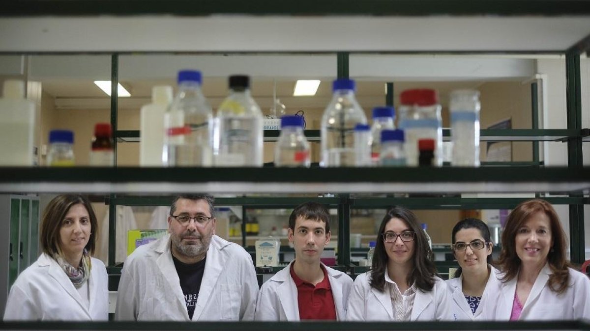 Investigadores de la Unidad de Toxicología en las instalaciones de la Universidad de Salamanca.-ENRIQUE CARRASCAL
