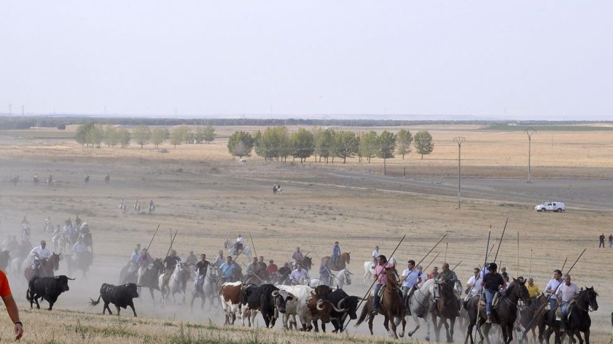 Momento de uno de los encierros por el campo.-S.G.C.