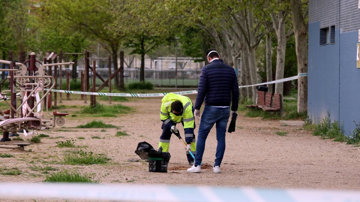 Lugar donde apareció el cuerpo de David, en un parque de Laguna de Duero.- ICAL