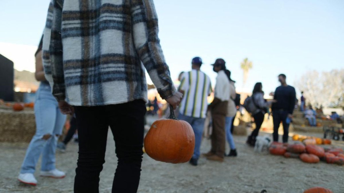 Imagen de archivo del día de Halloween. -E.M.