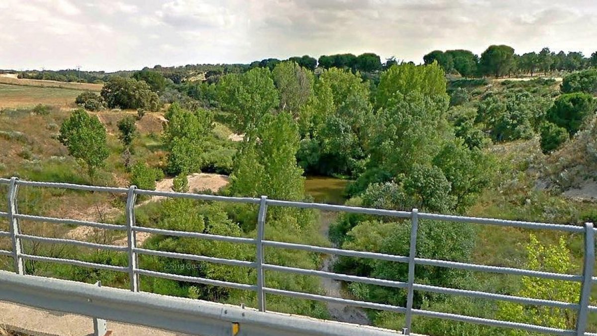 Cauce del Adaja en las proximidades del casco urbano de LaZarza. La sequía favorece la proliferación de algas.-GGL SW