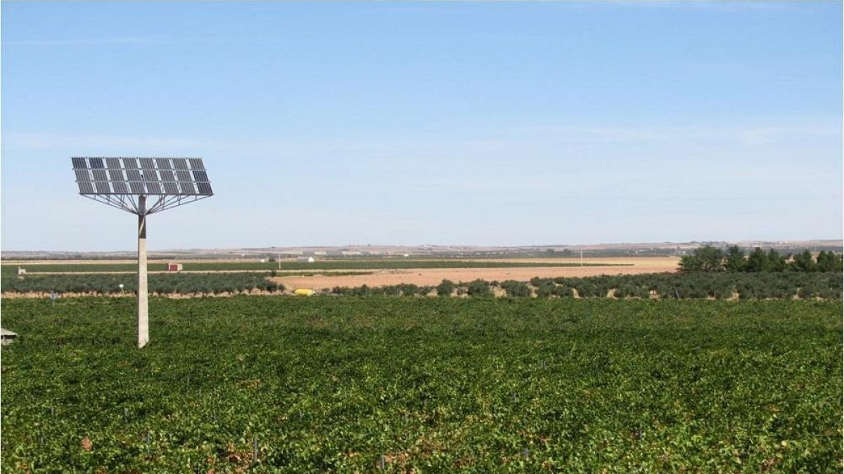 Un panel solar en una zona de viñedos ubicada en la provincia de Burgos.-ABASOL