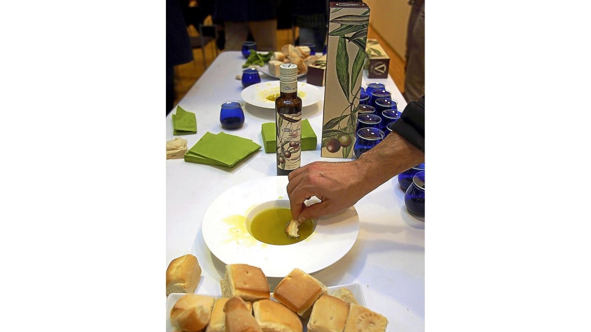 Degustación de aceite Pago de Valdecuevas en su almazara en Rioseco.-ICAL