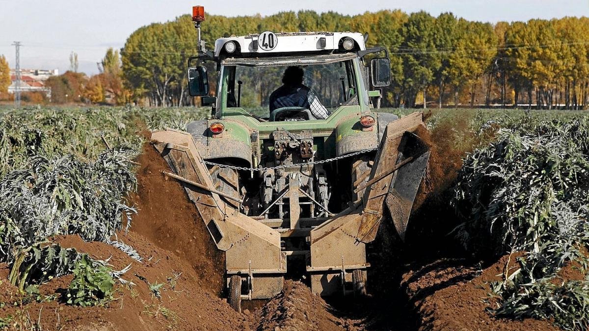 Un agricultor a los mandos de su tractor realiza el trabajo de tapado del cardo en una tierra de cultivo de la localidad soriana de Ágreda.-ICAL