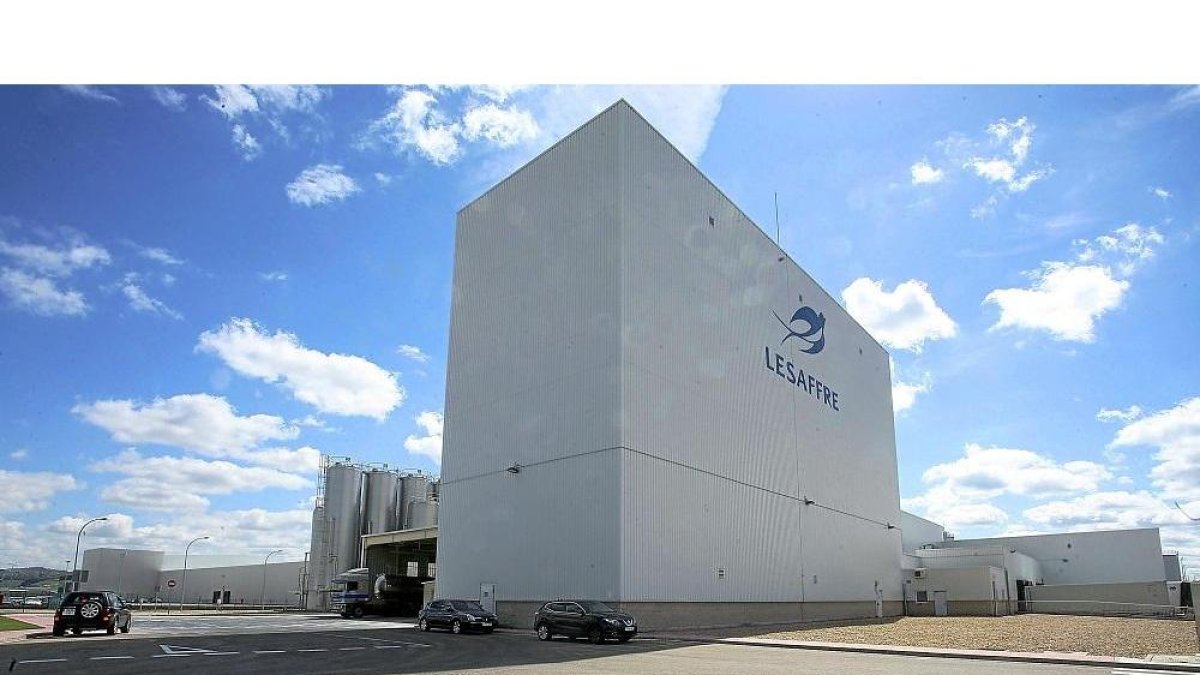Imagen de la fábrica familiar de origen francés de levaduras, Lesaffre Ibérica, en Valladolid.-ICAL