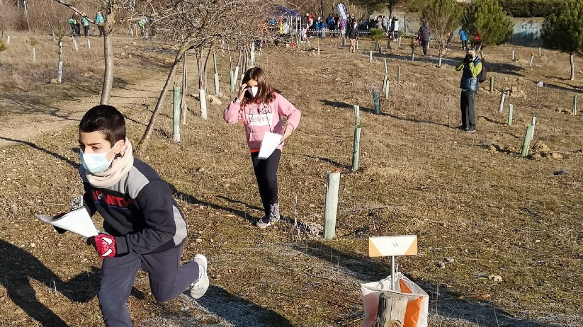 Un momento de la prueba de Orientación celebrada en Fuente del Sol. / MONTSE ÁLVAREZ