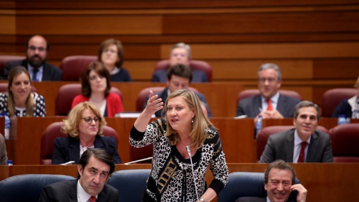 La consejera de Economía y Hacienda, Pilar del Olmo, durante su intervención en el Pleno de las Cortes de Castilla y León.-ICAL