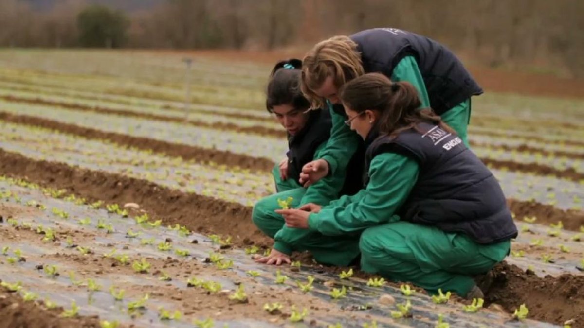 Tres jóvenes trabajando en un proyecto de la Caixa. - E.M.