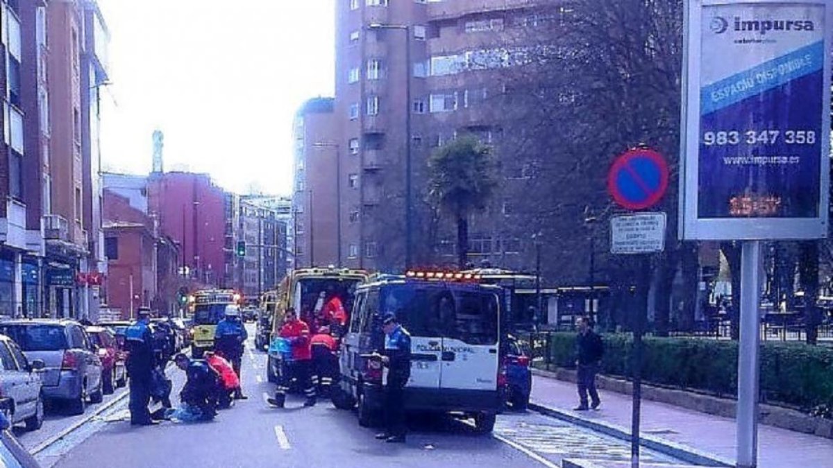 Personal de Sacyl y agentes locales, en el lugar del atropello.-E. M.