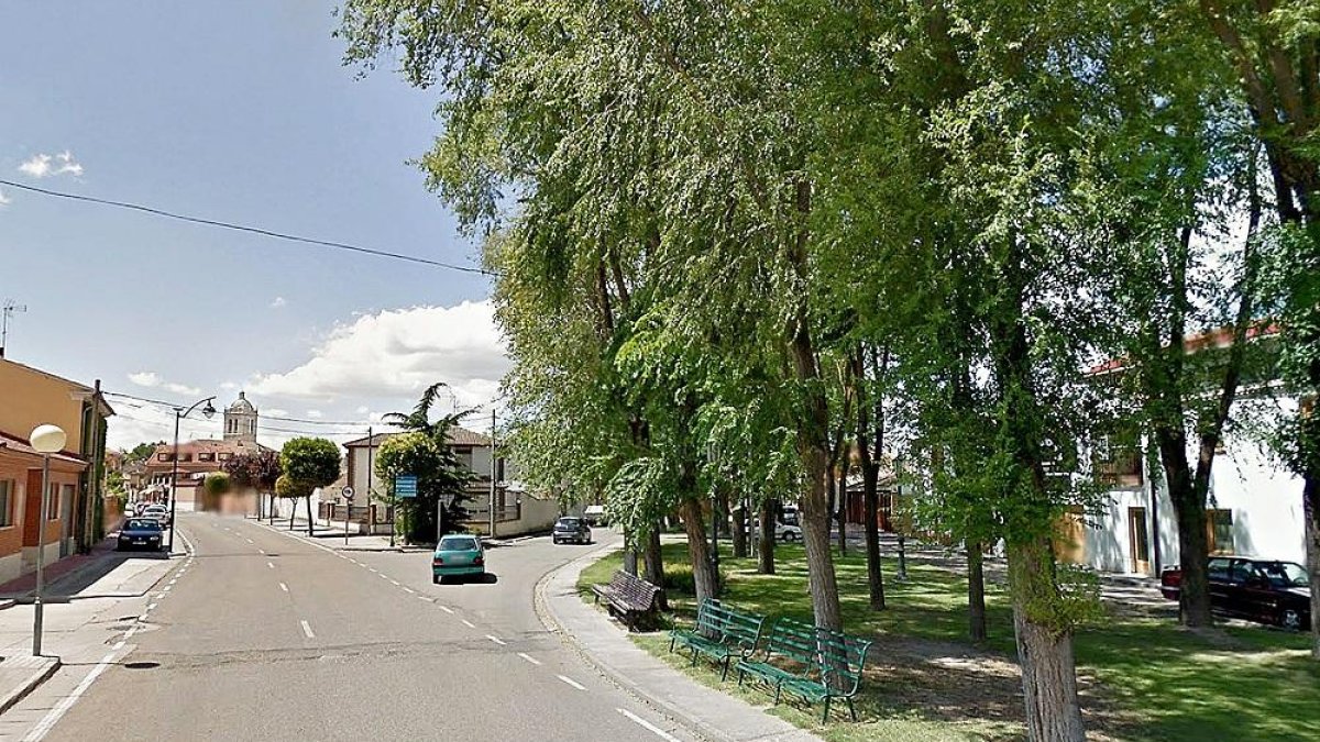 Parque de la Avenida de Valladolid, uno de los que podrán recibir consignación de los Planes Provinciales.-GGL SW