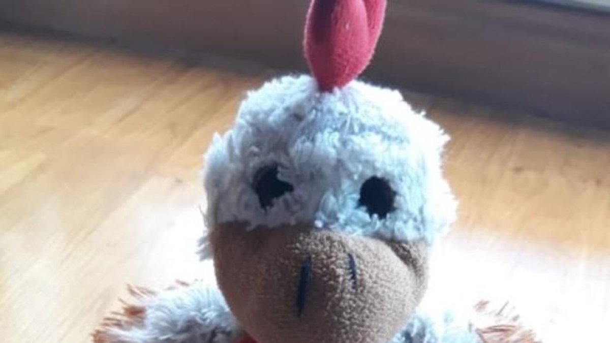 Kiki, el peluche perdido. /-TWITTER
