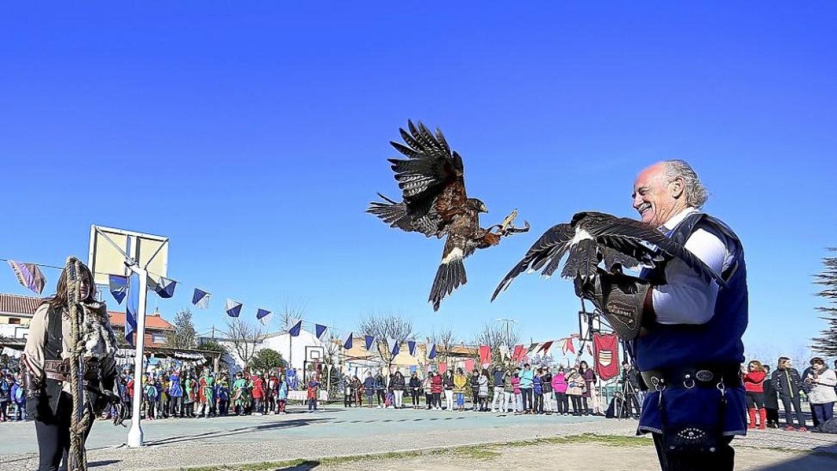 Exhibición de cetrería en el mercadillo medieval del CEIP ‘Tierra de Pinares’ de Mojados.-ICAL