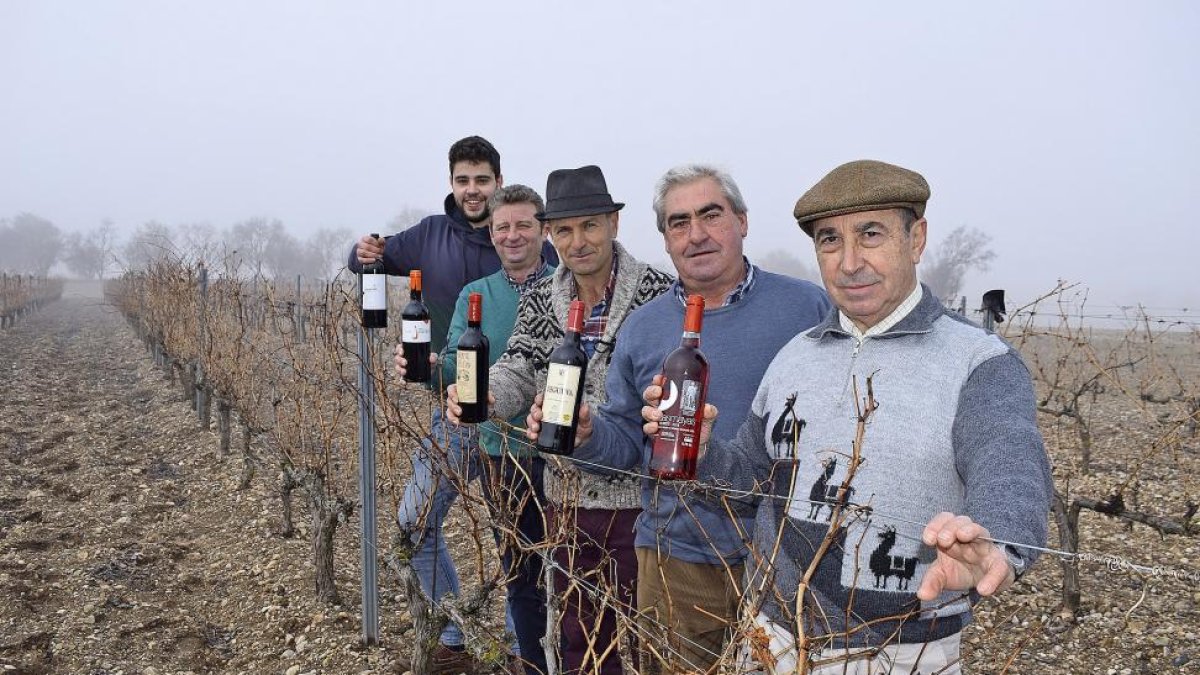 De atrás hacia adelante, Pablo y Honorato Calleja; José María Rey; Luis Ángel Soladana y Vicente Lorente, en un viñedo del Valle del Esgueva.-ARGICOMUNICACIÓN