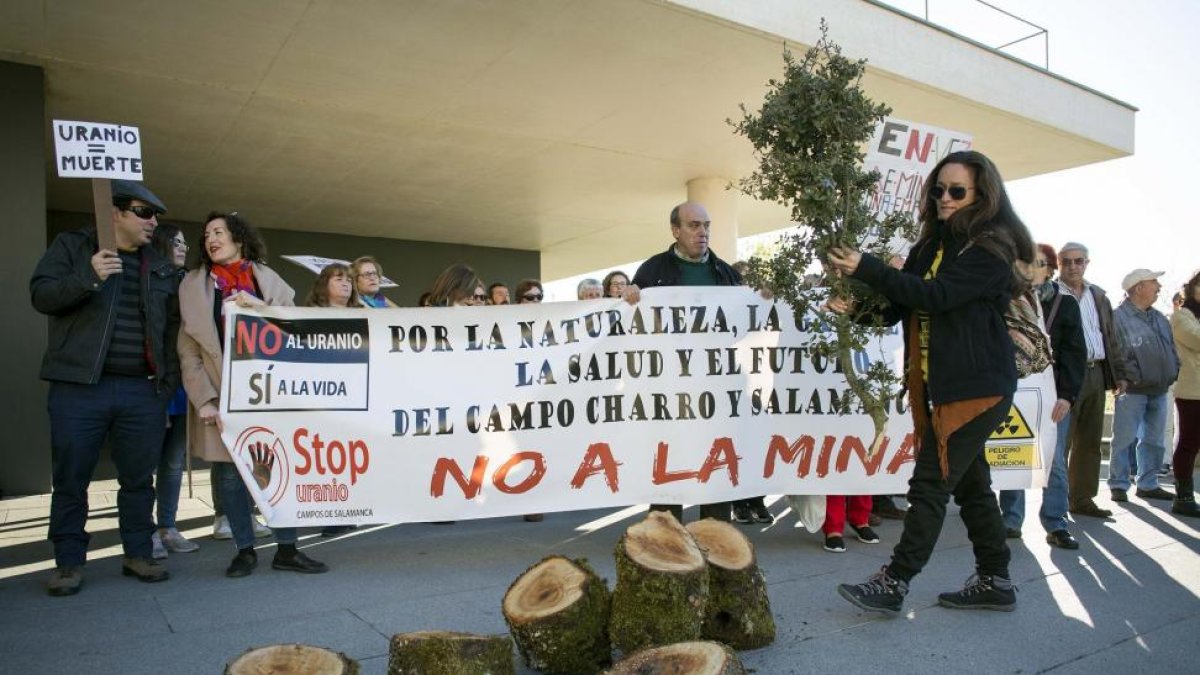 Imagen de una de las manifestaciones de la plataforma.-ICAL