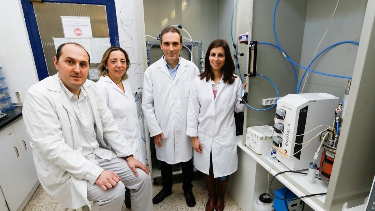 Raúl Muñoz, Silvia Bolado, Pedro García Encina y Raquel Lebrero en las instalaciones de la UVA.-J. M. LOSTAU