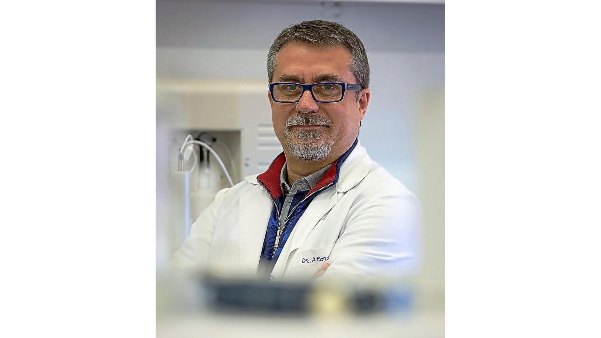 Alfredo Corell en las instalaciones de la Facultad de Medicina de la Universidad de Valladolid.-MIGUEL ÁNGEL SANTOS
