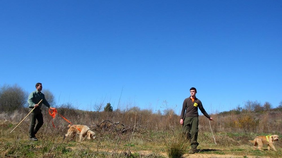 Dos cazadores con sus perros durante una jornada de caza.-ICAL